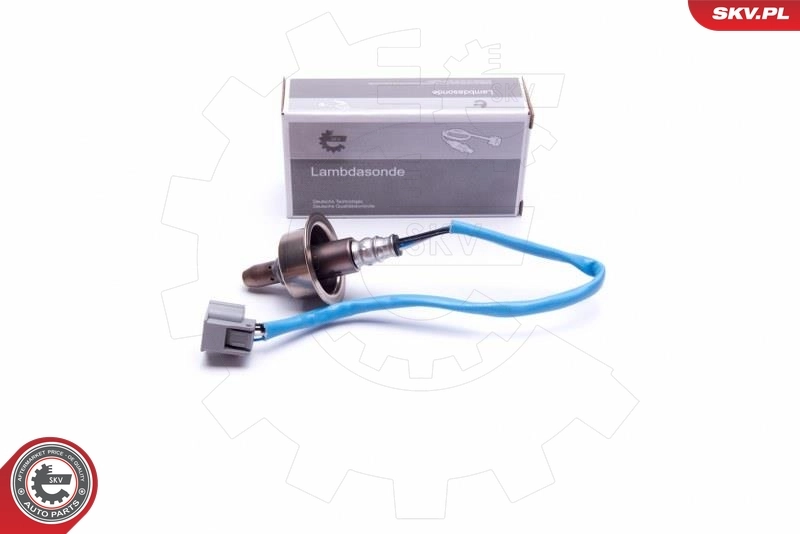 Oxygen Sensor